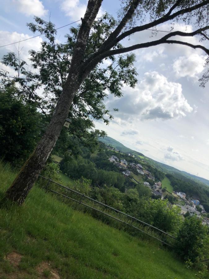 Ardenne View Villa Wilwerwiltz Exterior photo